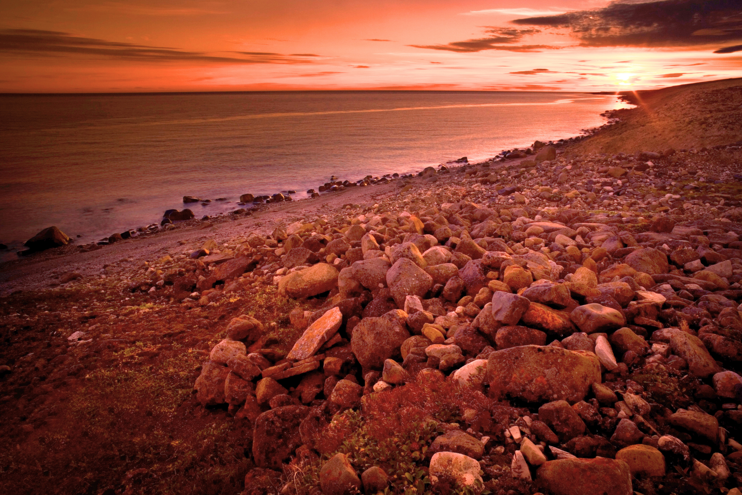 385 victoria island, nunavut.webp